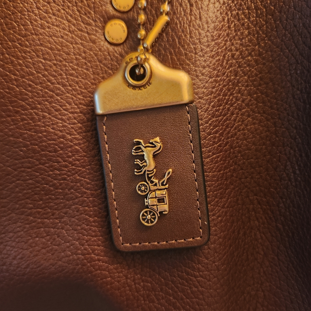 Coach Rouge 39 In Maple - Picture 6 of 9